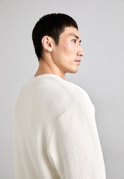 rag & bone CREW IN ZUMA - Maglione - ivory