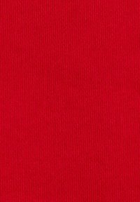 Tissu rouge uni avec une subtile texture côtelée verticale remplissant le cadre.