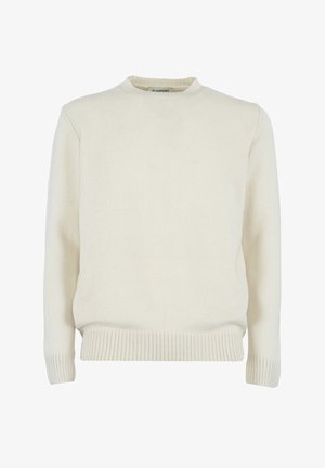 Maglione a maglia color crema, colletto rotondo a giro, polsini e orlo a coste, texture morbida, design minimale, senza decorazioni o motivi aggiuntivi.