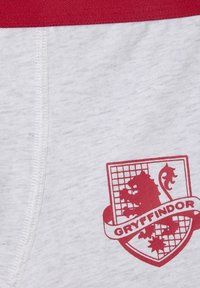 Gray cotton shorts featuring a red waistband and a Gryffindor crest, featuring a lion and a banner with the text "GRYFFINDOR" below.