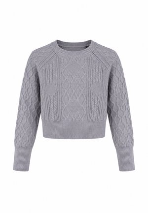 Maglione lavorato a maglia grigio chiaro con motivi a treccia, maniche lunghe, polsini a coste e orlo a coste.