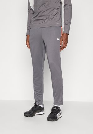 INDIVIDUALLIGA TRAINING PANTS - Tepláky - shadow gray/white/glowing red