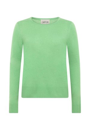 Grüner Pullover mit langen Ärmeln aus weichem Strickmaterial, mit Rundhalsausschnitt und geripptem Saum. Glatte Textur ohne sichtbare Muster oder Verzierungen.