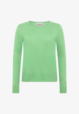 Groene trui met lange mouwen van een zacht gebreide stof, met een ronde hals en een geribbelde zoom. Soepele textuur zonder zichtbare patronen of versieringen.
