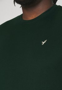 Zelené bavlnené tričko s kruhovým výstrihom, s malým vyšívaným logom vtáka na striebornej farbe na ľavej strane hrude. Mäkká textúra.