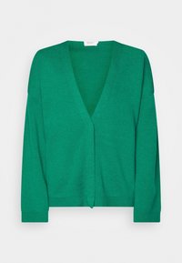 Groene gebreide cardigan met een diepe V-hals, lange mouwen en een rechte snit, met een gladde textuur en een minimalistisch ontwerp.