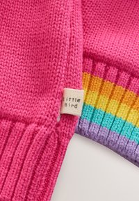 Neulottu paita kirkkaanpunaisella vartalolla ja resorikoristuksilla. Siinä on merkki, jossa lukee "little bird", ja monivärinen raidallinen helma keltaisena, sinisenä ja purppurana.