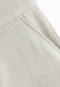 Baker by Ted Baker STANDARD - Pantaloni - stone