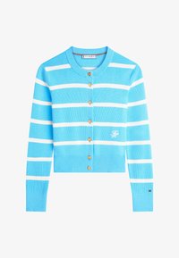 Niet geselecteerd, stripe frigid blue ivory