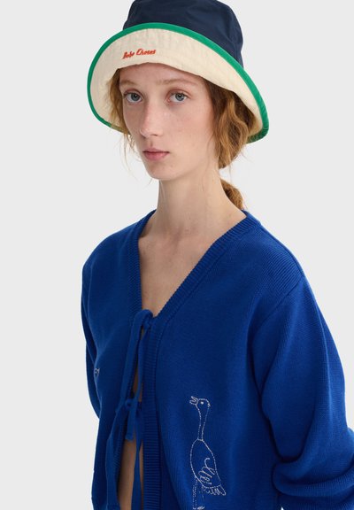 Une jeune personne aux cheveux clairs porte un pull bleu avec une oie brodée, un chapeau bob bleu et crème avec une bordure verte et des lettres rouges.