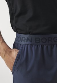 Björn Borg SHORTS - Športové šortky - odyssey gray