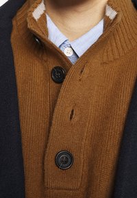 Bruine gebreide trui met een geribde kraag, voorzien van zwarte knopen en een contrasterende witbruine gestreepte binnenkraag. Lichtblauw overhemd eronder.