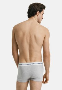 Gray boxer briefs with a white waistband featuring navy text. Smooth fabric with a snug fit, viewed from the back. No additional details visible.