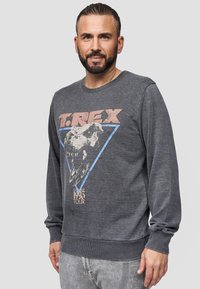 Grijze sweatshirt met een T-Rex graphic binnen een blauwe driehoek, "1993 Tour" tekst aan de onderkant, met ribgebreide boorden en zoom.