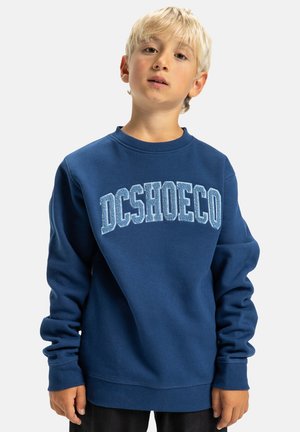Marineblauwe sweatshirt van zachte stof, met een opvallend "DCSHOECO" logo in lichtblauw over de borst. Lange mouwen, ronde halsontwerp.