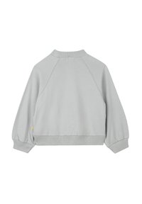 Sweatshirt gris clair à manches longues avec col, poignets et ourlet côtelés, montré de dos avec des manches raglan.