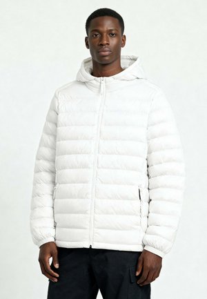 BASIC PADDED - Winterjacke - off-white