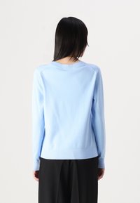 Lys blå strikkegenser med lange ermer, rund hals og ribbestrikkede mansjetter. Glatt tekstur, tettsittende silhuett og minimalistisk design.