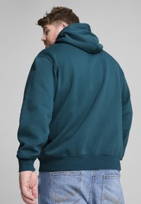 Felpa teal con cappuccio regolabile, polsini e vita a coste. Texture morbida, vestibilità comoda e dettagli di cucitura visibili sul retro.