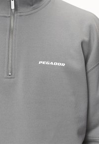 Pegador LOGO OVERSIZED HALF ZIP SWEATER - Sweatshirt - washed cool grey/white gum