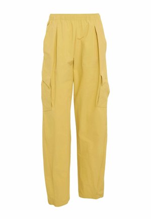 adidas Terrex, TERREX XPLORIC CLIMA365 CARGO PANTS - Outdoor-Hose - pyrite