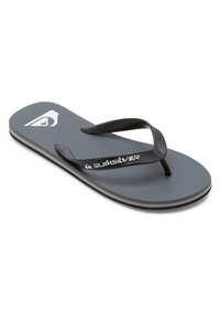 Grå gummifarvede flip-flops med sorte teksturerede stropper og hvidt logo. Har en flad sål med en subtil lagdelt kant.