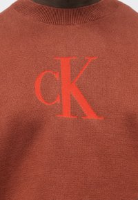 Brūns adīts džemperis ar izteiktu sarkanu "cK" logotipu. Tekstūra ir gluda ar ribām rotātu apaļu kakla izgriezumu.