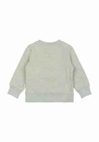 Sweatshirt gris clair avec une texture douce, présentant des manches longues, des poignets côtelés et un col rond. La vue de dos met en avant la simplicité du design.