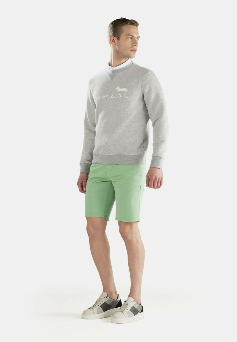 Herren Strickjacken | Harmont & Blaine SWEATSHIRT WITH LOGO Strickpullover argento/silberfarben - TZ05578 Herren Strickjacken | Harmont & Blaine SWEATSHIRT WITH LOGO Strickpullover argento/silberfarben - TZ05578