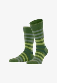 Sélectionné, fir green