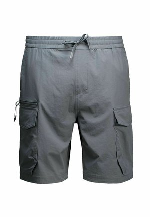 CHASIN', CHASIN' SHORTS RIFT.S CARGO PRO - Rövidnadrágok - dark grey