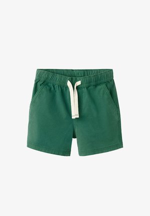 Grüne freizeittaugliche Shorts mit elastischem Bund und weißem Kordelzug, mit Seitentaschen, auf weißem Hintergrund dargestellt.
