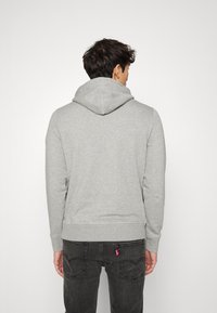 Tommy Hilfiger LARGE FLAG HOODY - Camisola - light grey heather