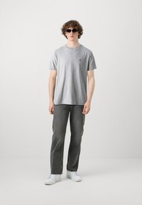 Replay Pamata T-krekls - light grey melange
