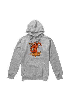 Warner Brothers, DC FLASH WHIRLWIND - Kapuzenpullover - mottled light grey