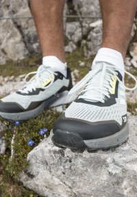 adidas Terrex AGRAVIC FLOW 2.0  - Trail hardloopschoenen - silver/crystal white/lucid lemon