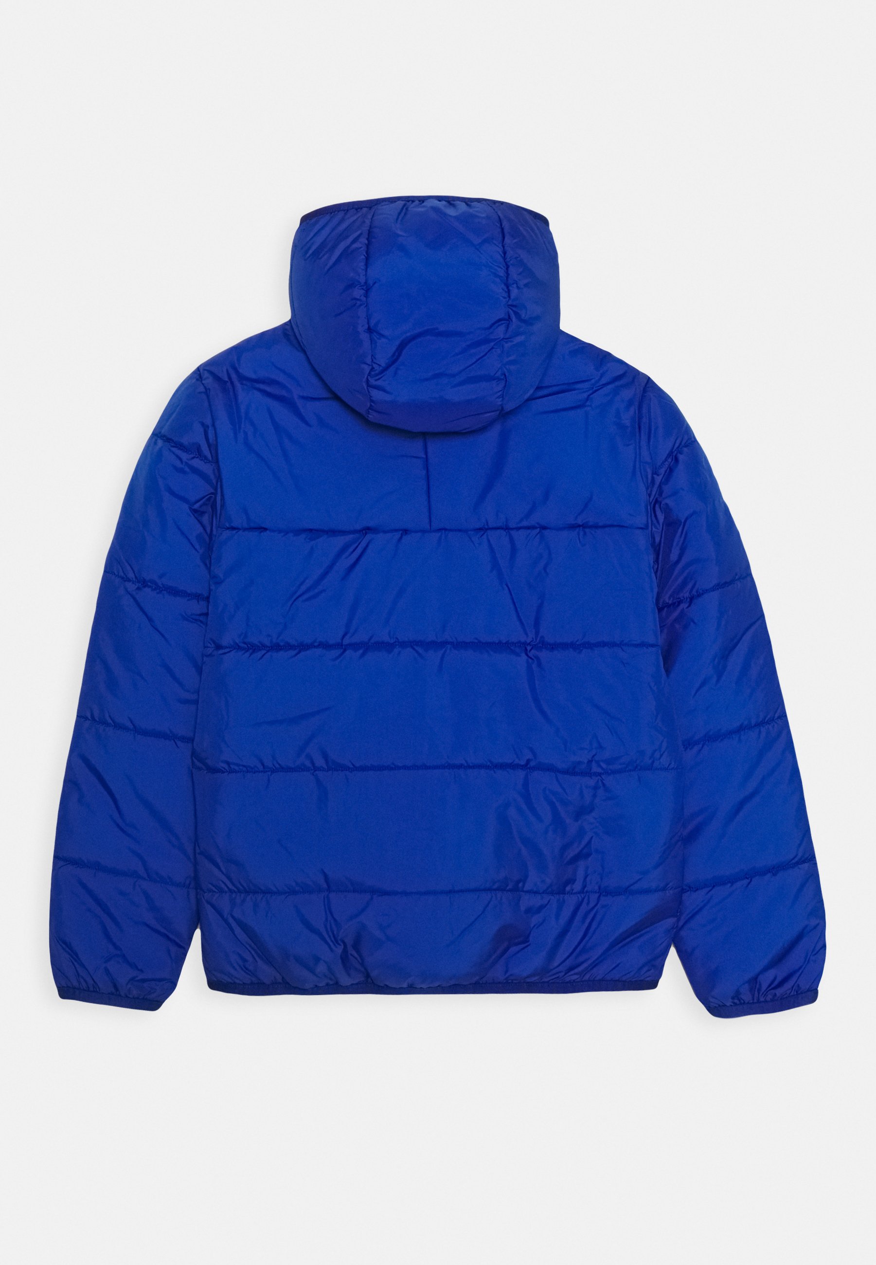 PADDED JACKET Winterjacke royal bluewhite PADDED JACKET Winterjacke royal bluewhite