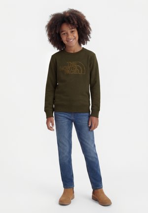 The North Face DREW PEAK CREW UNISEX - Φούτερ - new taupe green