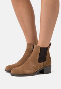 Botas de tobillo de ante marrón con un tacón bajo y cuadrado, paneles laterales elásticos y una punta redondeada lisa. Presenta un detalle de cremallera en la parte trasera.