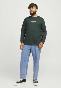Jack & Jones GEDRUCKT  - Ilgarankovis viršutinės dalies drabužis - forest river