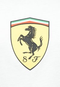 Μαύρο άλογο που στέκεται όρθιο σε κίτρινο φόντο ασπίδας, με κόκκινες και πράσινες ρίγες στο επάνω μέρος, με τα γράμματα "S" και "F" από κάτω.