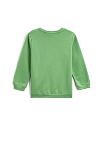 Sudadera verde de manga larga hecha de suave algodón. Presenta un cuello redondo, puños y dobladillo acanalados. Diseño sencillo sin patrones ni acentos.