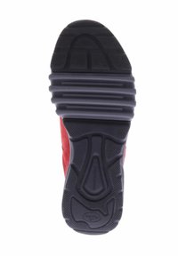 Waldläufer AMIATA - Sneakers laag - rubin