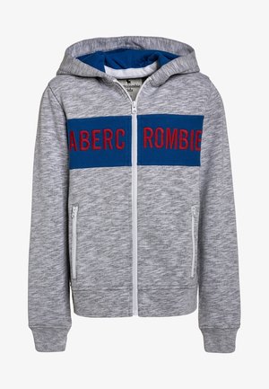 Grå zip-up hoodie med et blåt brystbånd, der har røde broderede bogstaver. Den har to sidelommer og en hætte. Blød stof tekstur.
