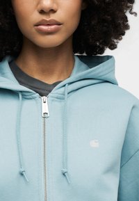 Γυναίκα με σγουρά μαλλιά που φοράει ένα ανοιχτό γαλάζιο φούτερ με φερμουάρ πάνω από μια σκουρόχρωμη γκρι μπλούζα, εμφανιζόμενη από τον λαιμό έως το στήθος.