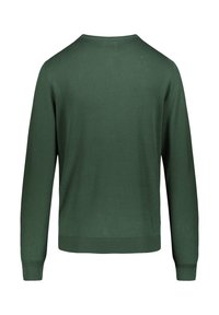 Maglione verde a maglia con maniche lunghe e scollo rotondo, caratterizzato da una texture liscia e orli e polsini a coste. Design sul retro semplice, senza motivi.