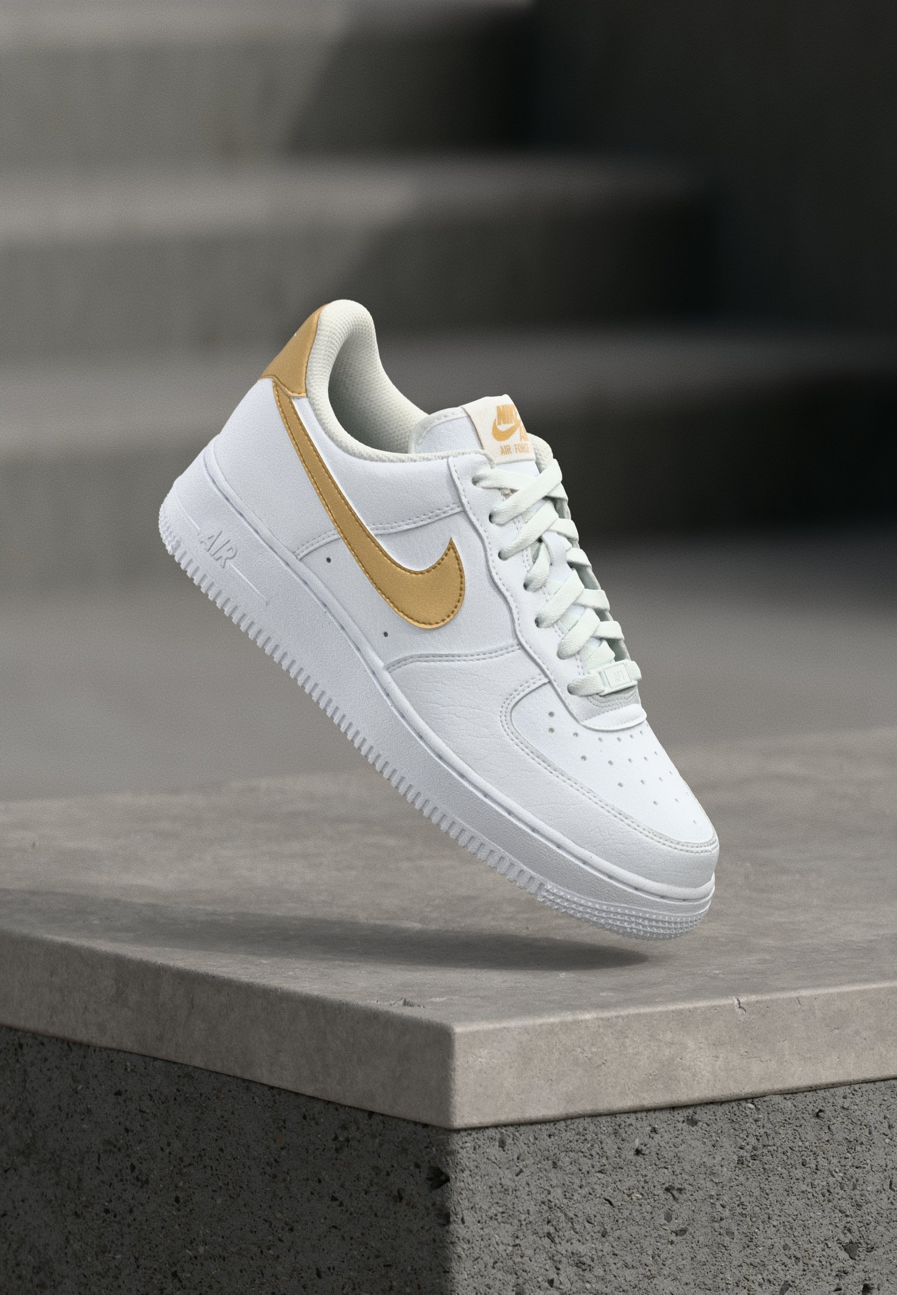 cactus jack nike low