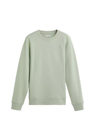 Sudadera verde claro de suave algodón. Presenta un cuello redondo, mangas largas, puños acanalados y un pequeño detalle de logo en la parte frontal.