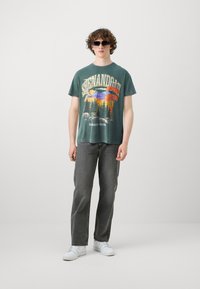 Abercrombie & Fitch NATIONAL PARKS - Print T-shirt - scarab/acid wash