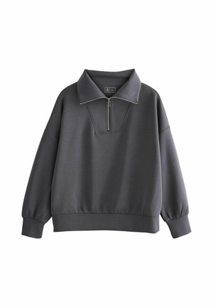 SOFT TOUCH QUARTER ZIP - Collegepaita - charcoal grey